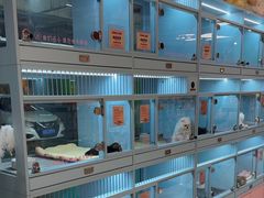-FAELING PETS美天灵宠物(合生汇店)