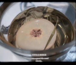 -紫御国际抗衰ZOE ANTI AGING