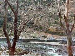 -岚山嵯峨野观光小火车