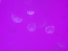 -沈阳海洋探索中心