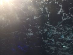 -泉城欧乐堡海洋极地世界