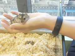 -怪兽屋·羊驼·猫咖·狗咖(俊华广场店)