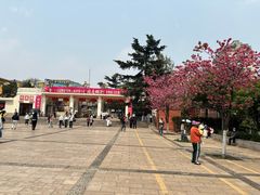 -昆明动物园