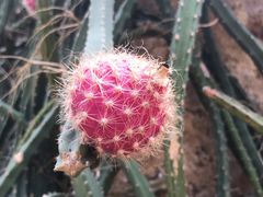 -南通洲际绿博园