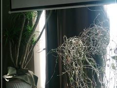 -若水云栖·足疗·按摩·SPA(城阳万达广场店)