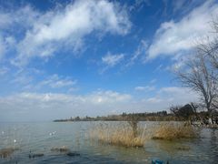 -捞渔河湿地公园