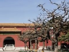 -北京市劳动人民文化宫(太庙)