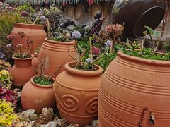 -樱花餐厅