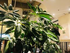 大堂-大树餐厅(红旗街万达店)