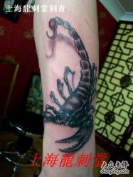 -龙刺堂纹身