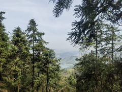 -冶父山国家森林公园