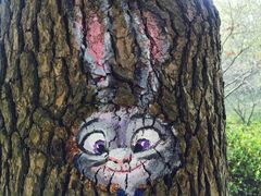 -橙天嘉禾影城(苏州印象城店)