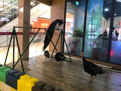 -嘉文梦想世界(SM天津滨海城市广场店)