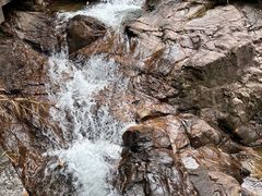 -九龙江国家森林公园