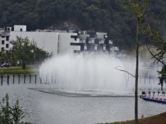 -千年银杏谷文化旅游区