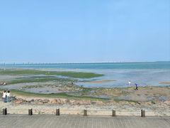 -集美学村