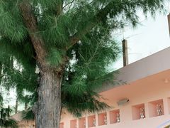 -花海间·即刻露营