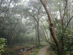 -林丰温泉度假山庄