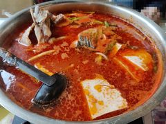 酸汤乌江鱼-甲秀楼缘餐厅(西直门店)