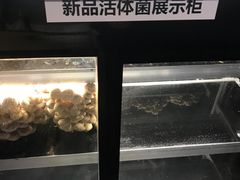 -海底捞大排档火锅(打浦路店)