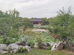 -上海滨江森林公园