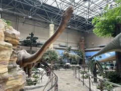 -国家自然博物馆