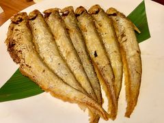 苇香河刀-小时候2013(瀚新店)