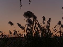 -百脉泉景区