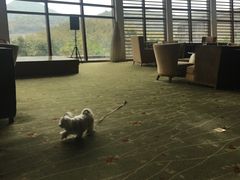 -宁波九龙湖开元度假村