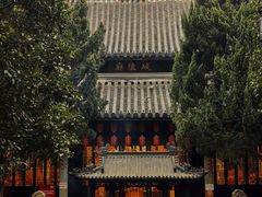 -秋霞圃