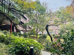 -香港大学
