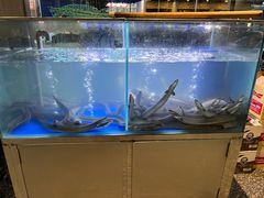 -本炙炭烤·蒲烧活鳗料理店(金沙洲店)