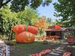 -HERRE·FARM 赫尔露营农场·团建聚会包场