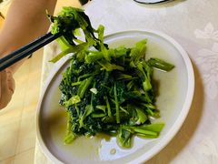 -丁老爷子苏香圆