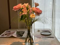 -Tomacado花厨(One ITC店)