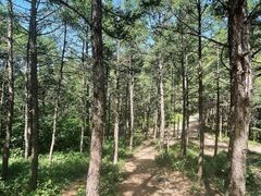 -阳台山自然风景区