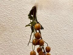 -大观篆新农贸市场
