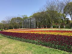 -上海鲜花港