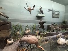-大庆市博物馆