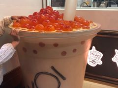 -Koi thé(水坑尾街店)