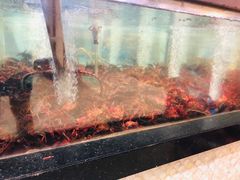 -七鲜超市(万向城店)