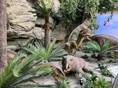 -国家自然博物馆