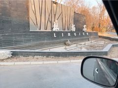 -林栖谷森林康养度假区