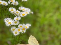 -勇士之星真人CS·团建·拓展(清水河公园店)