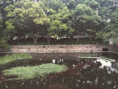 -普陀山风景名胜区-法雨禅寺