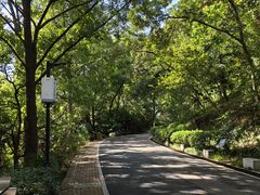 -北极阁公园