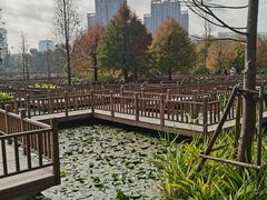 -五缘湾湿地公园