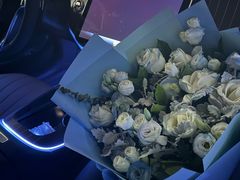 -奔驰利星行(北京花乡店)