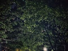 -上海交通大学医学院附属瑞金医院(总院)
