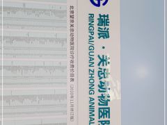 -瑞派·关忠动物医院·异宠专科·犬猫肿瘤·皮肤专科(望京店)